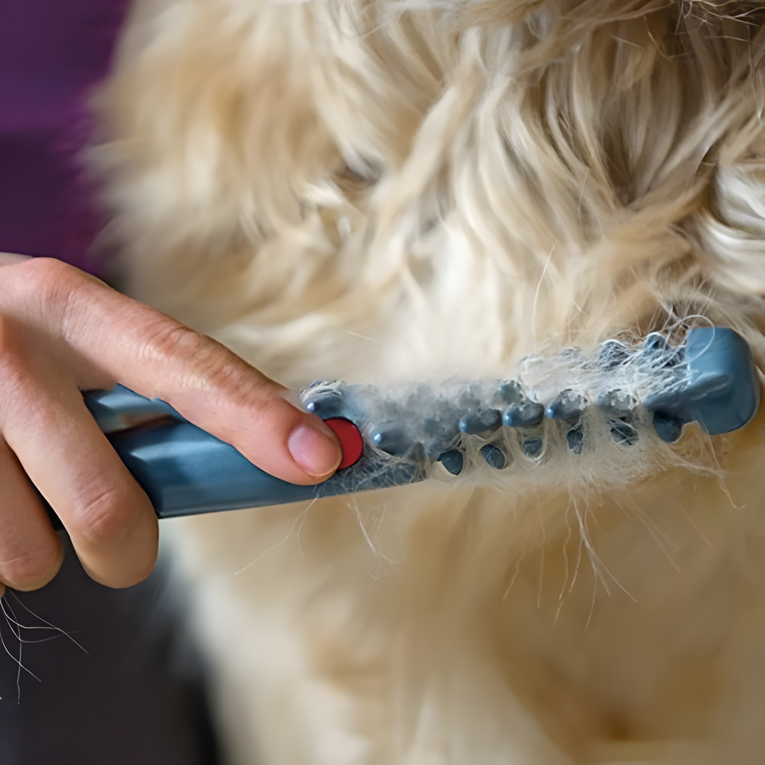 Trimify - No knots and tangles for your pet