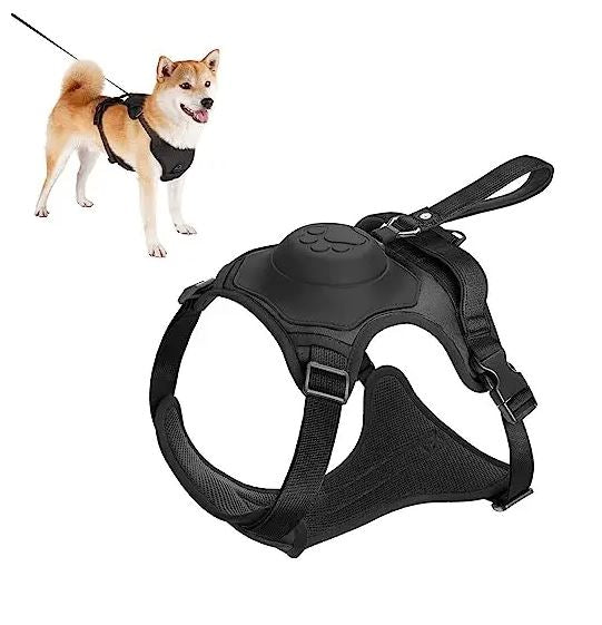 2 in 1 Dog Harness Set