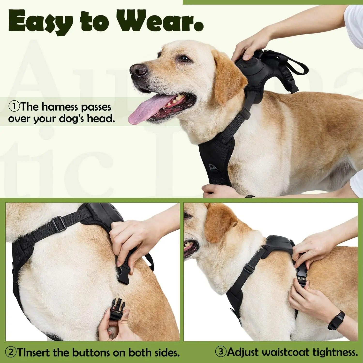 2 in 1 Dog Harness Set