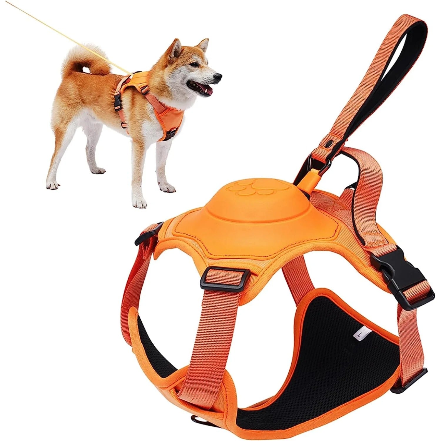 2 in 1 Dog Harness Set