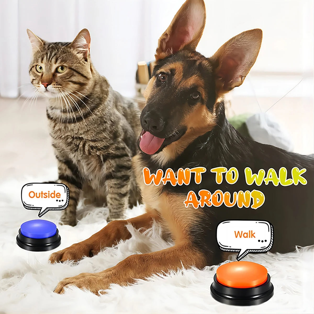 Dog Button Sound Box