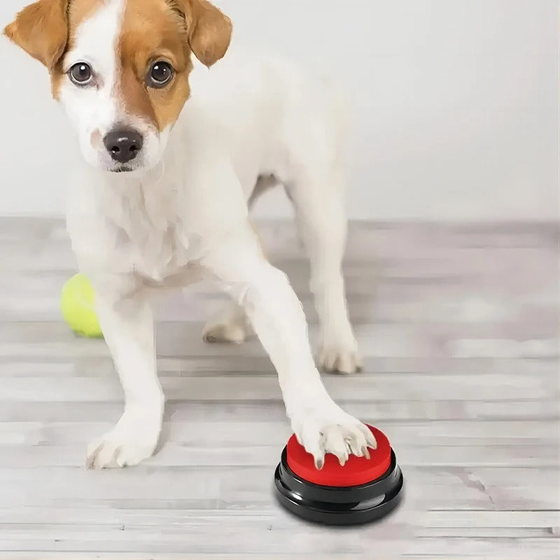 Dog Button Sound Box