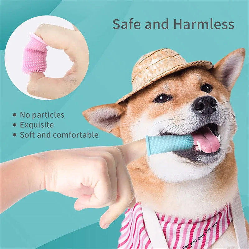 Pet Teeth Brushing Stick