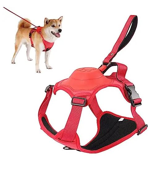 2 in 1 Dog Harness Set